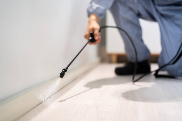 Licensed Pest Control service in Dansville, NY - Show Me Pest Control